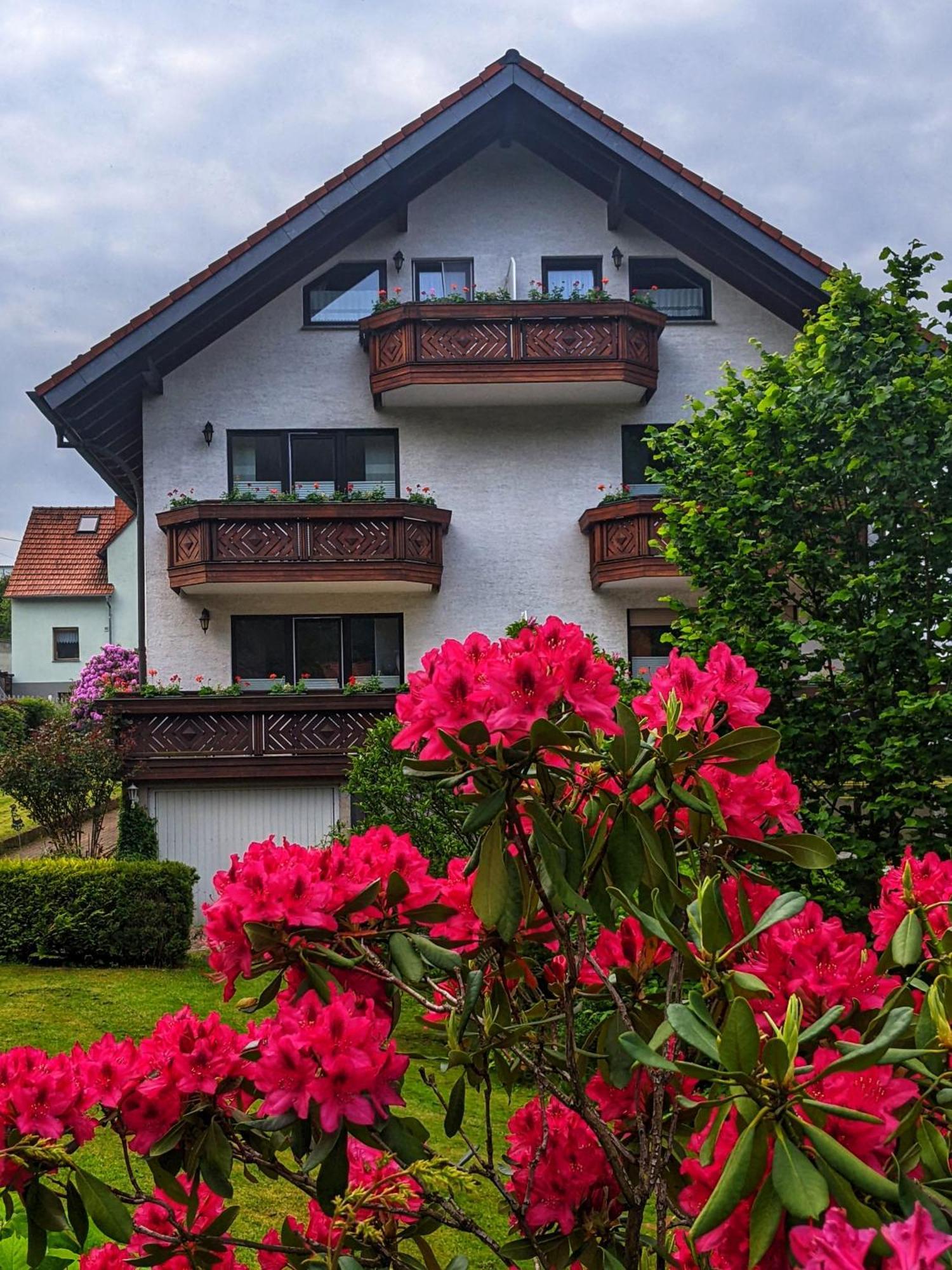 Gaestehaus Regina Ruhla Exterior foto